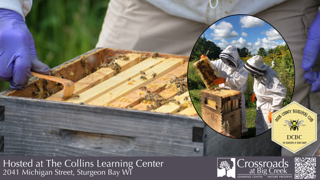 Bee’s Knees Honey Workshop: Inside the Hive