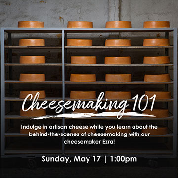 Cheesemaking 101