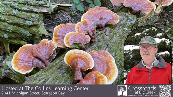 Fantastic Fungi: Movers & Shapers of Forest Ecosystems