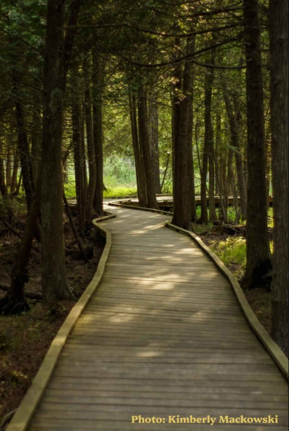 Mary Elyn Bahlert Meet & Greet Hike