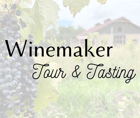 Winemaker Tour & Tasting