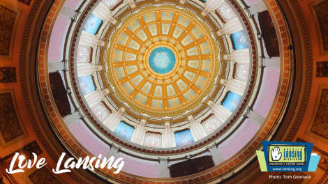 Zoom Background - Capitol Dome