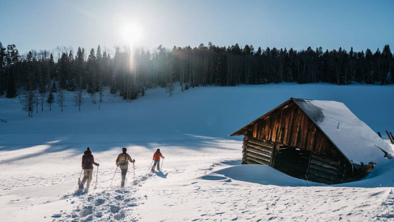 Snowshoeing In New Mexico