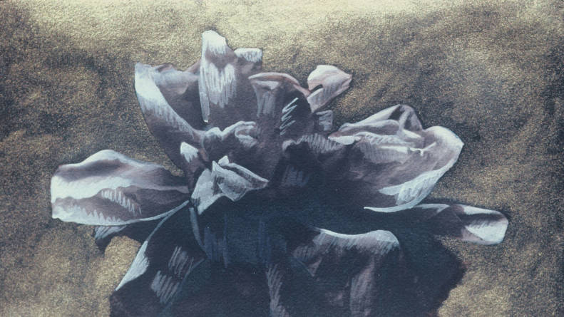 Unm Fine Art Photography Program Leads A Photo Boom