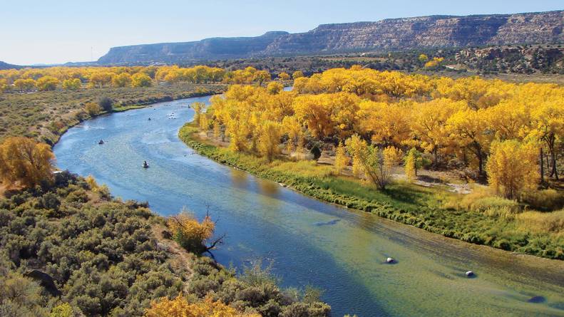 New Mexico S 10 Best Family Camping Spots