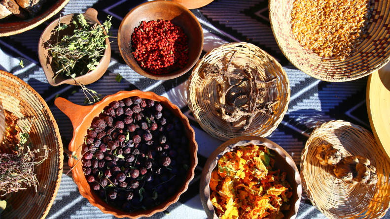 Andi Murphy Explores Native Foods