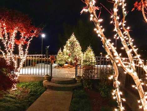 Holiday Trail of Lights_Bluff View Art District
