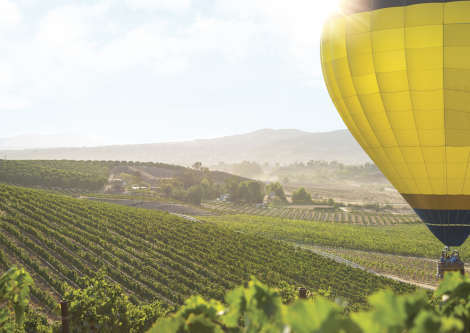 Hot Air Balloon Over Temecula Vineyards