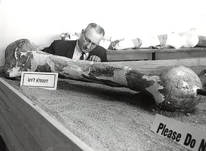 The Story Of The Clovis People