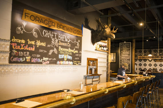 Forager Brewery