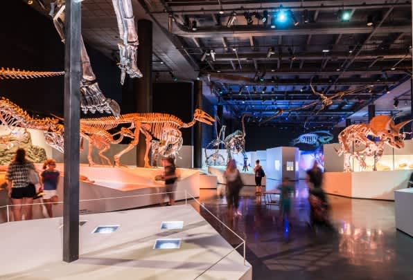 New York Hall of Science is set to open new exhibit The Big Bubble  Experiment