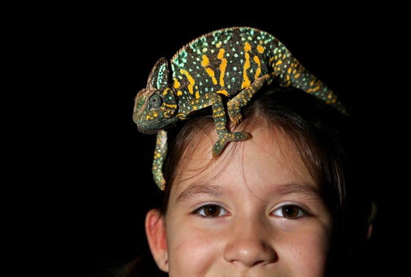 HERPS Exotic Reptile & Pet Show Slidell, LA 70461 December 14, 2024