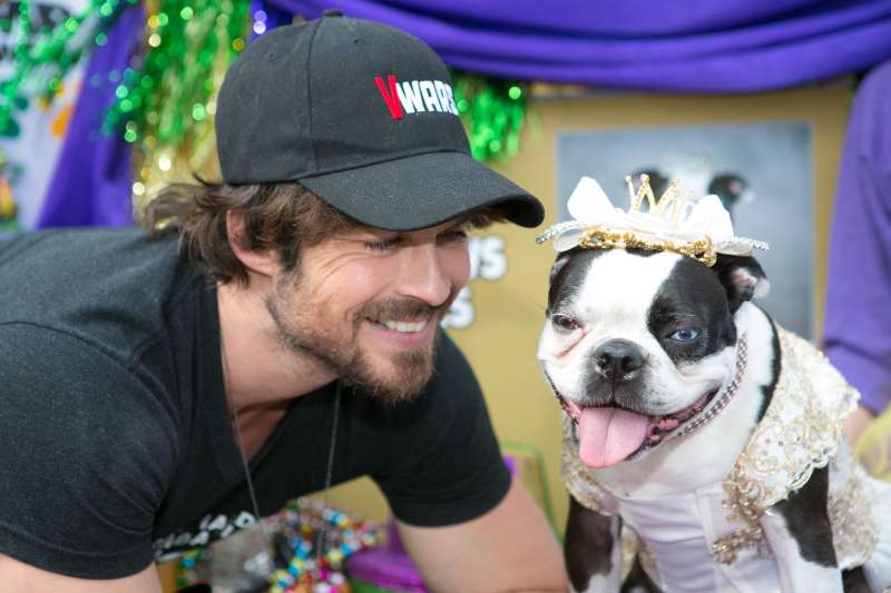 Mardi Paws Mardi Gras Parade 2025 Covington, LA 70433 March 9, 2025