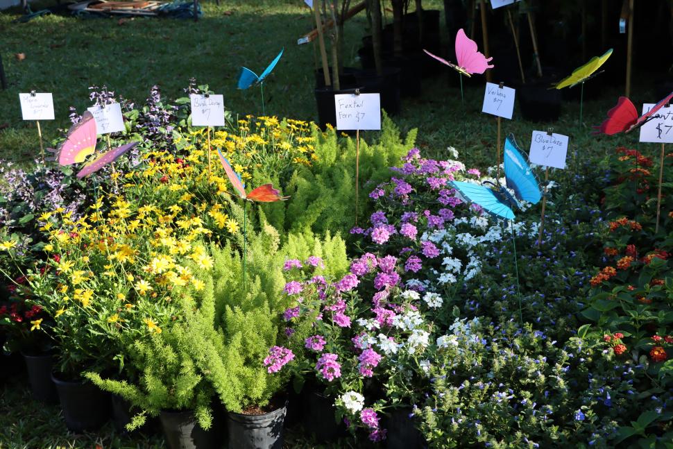 SPRING PLANT FESTIVAL