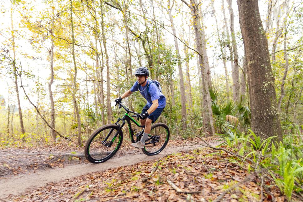 Alafia State Park bike trail