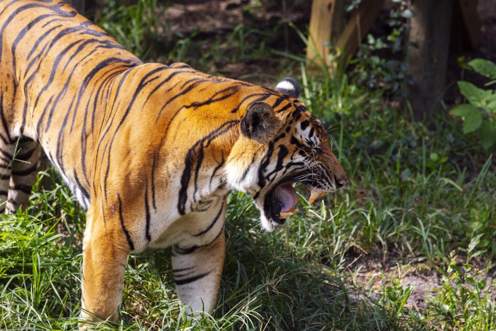 ZooTampa