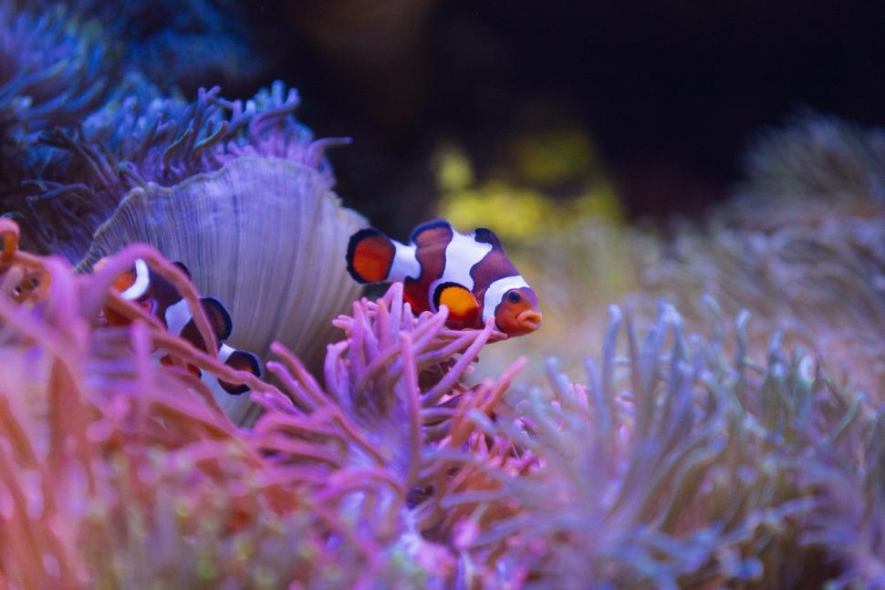 The Florida Aquarium