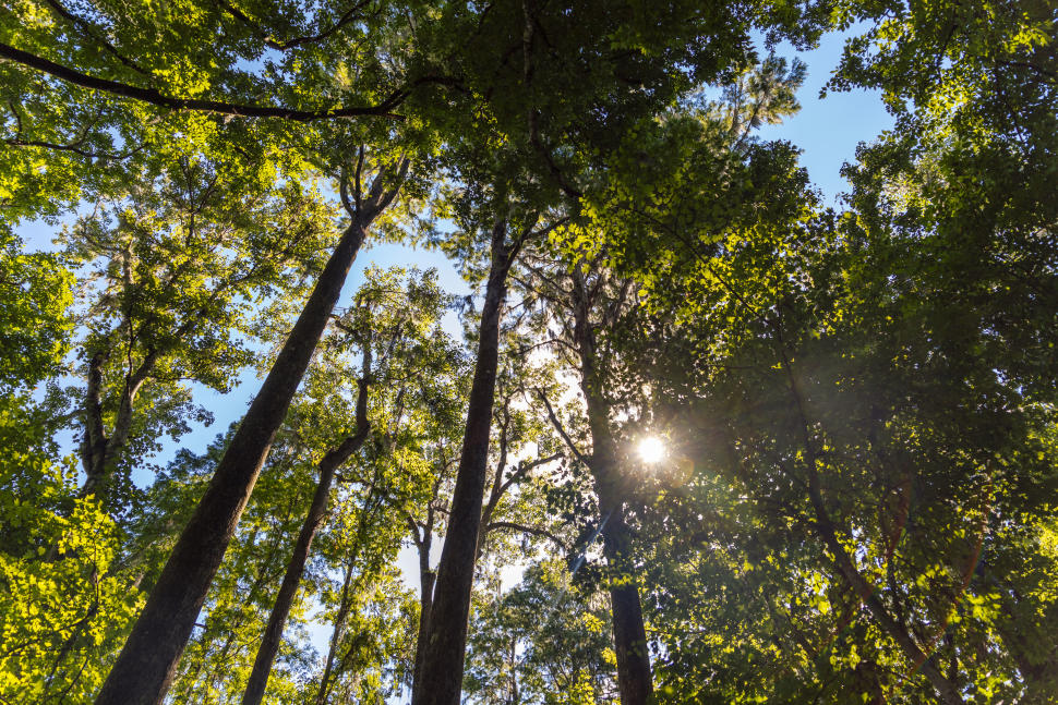 Environmental Nonprofit, Keep Tampa Bay Beautiful