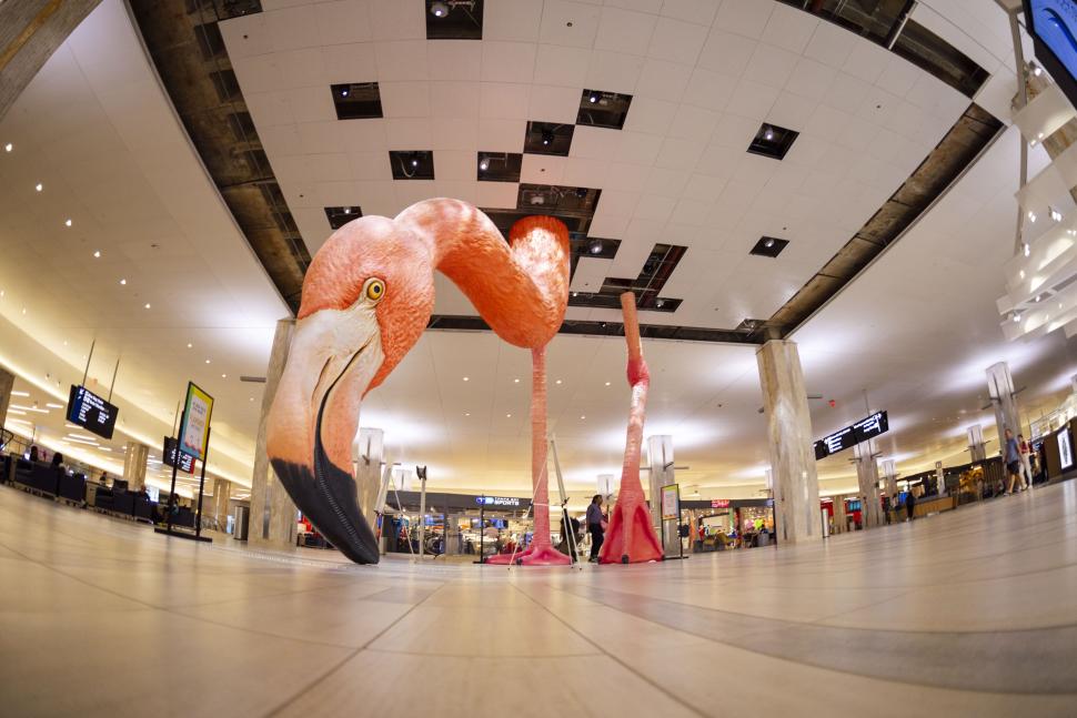 Tampa International Airport