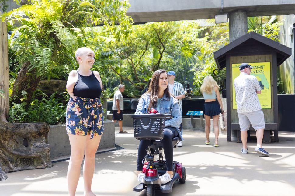 Accessible Travel
