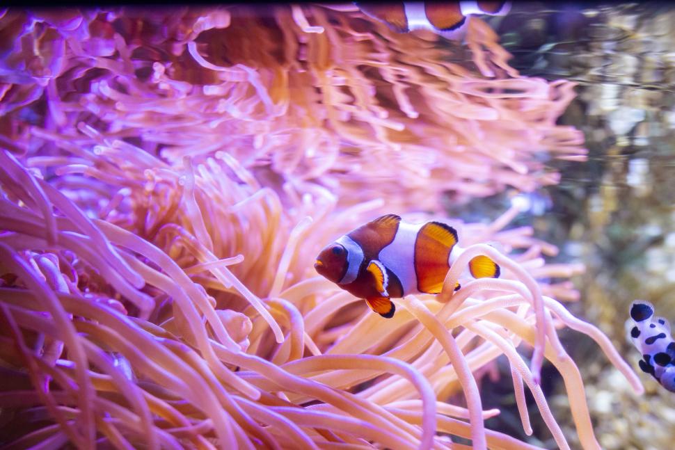 The Florida Aquarium