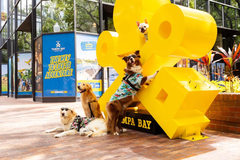 It's a Doggy Dog World