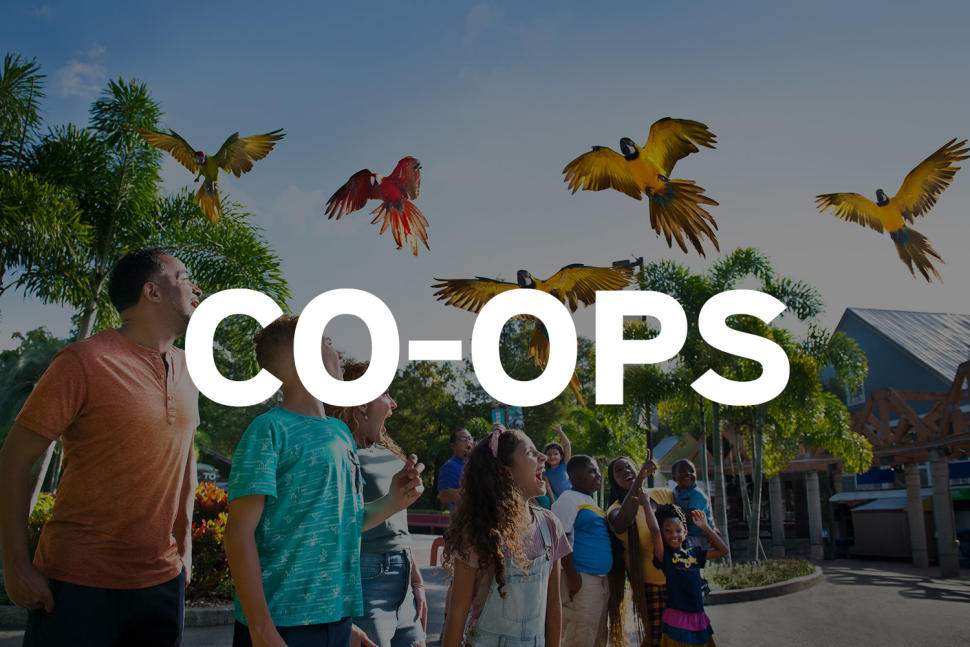 Co-ops