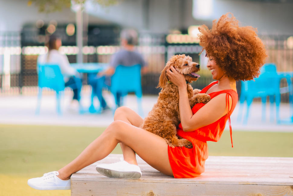 It's a Doggy Dog World