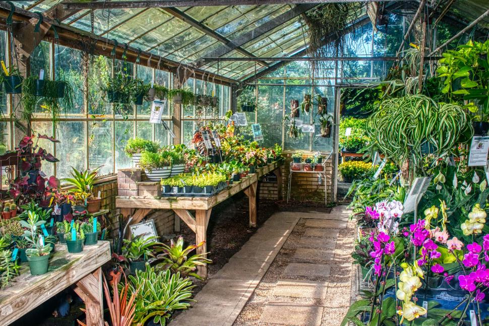 USF Botanical Gardens