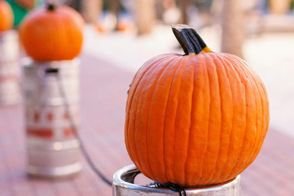 Pumpkin Patch & Fall Fun Fest
