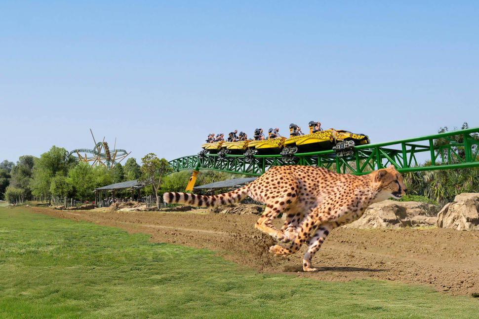 Busch Gardens