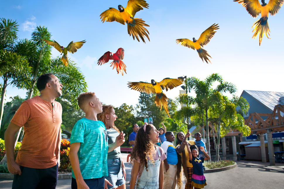 ZooTampa