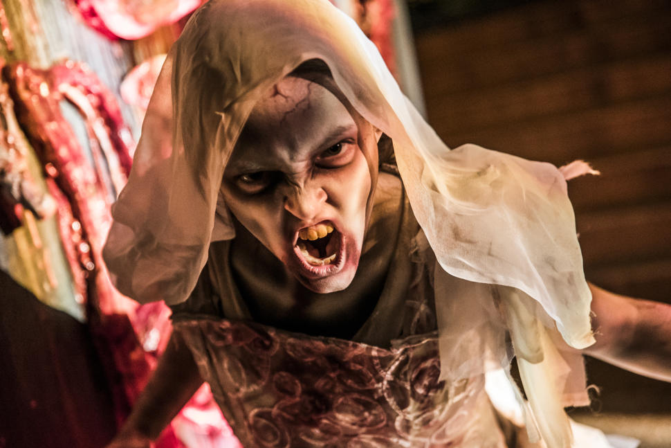 Howl-O-Scream