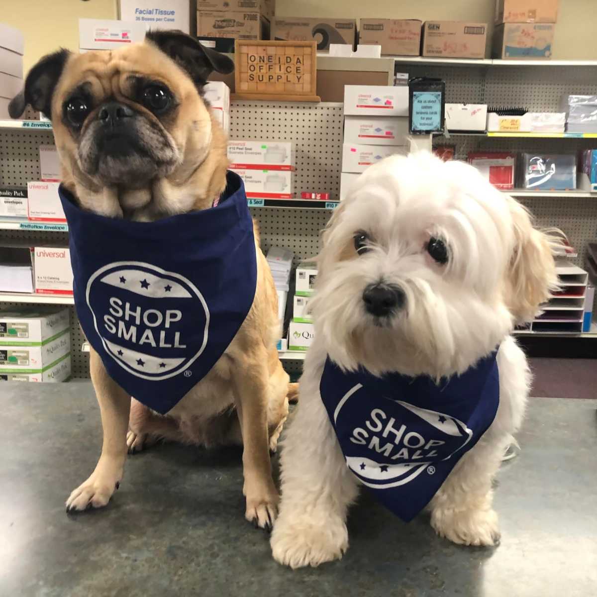 Oneida Office Supply