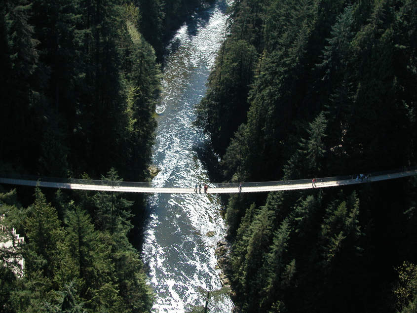 Capilano Suspension Bridge - Bras Across the Bridge