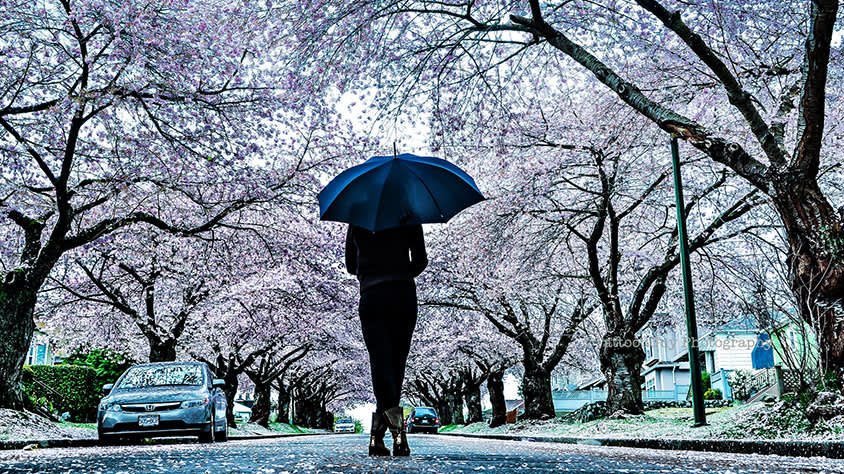 Vancouver weather: How long will the upcoming rainfall last? - Vancouver Is  Awesome