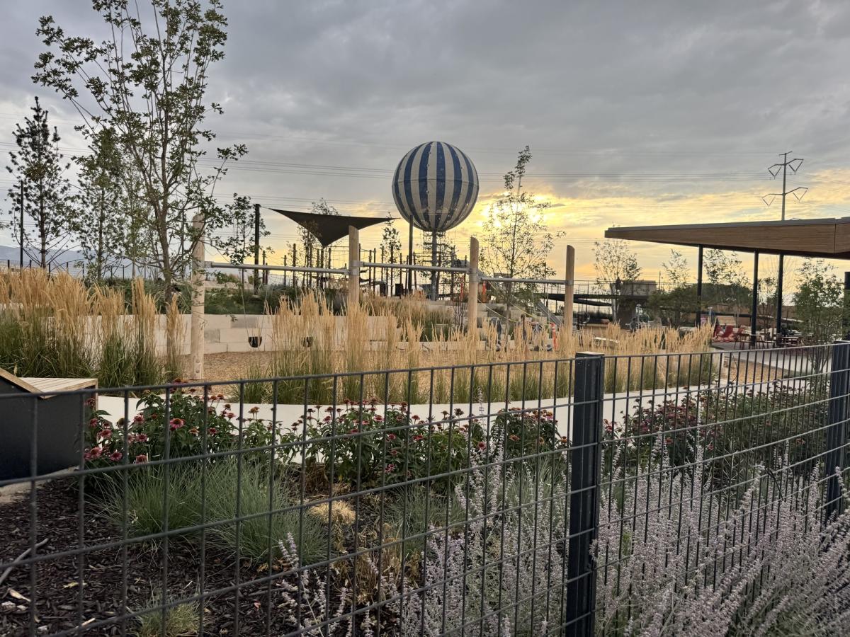 Berliner Park in Utah City, Vineyard