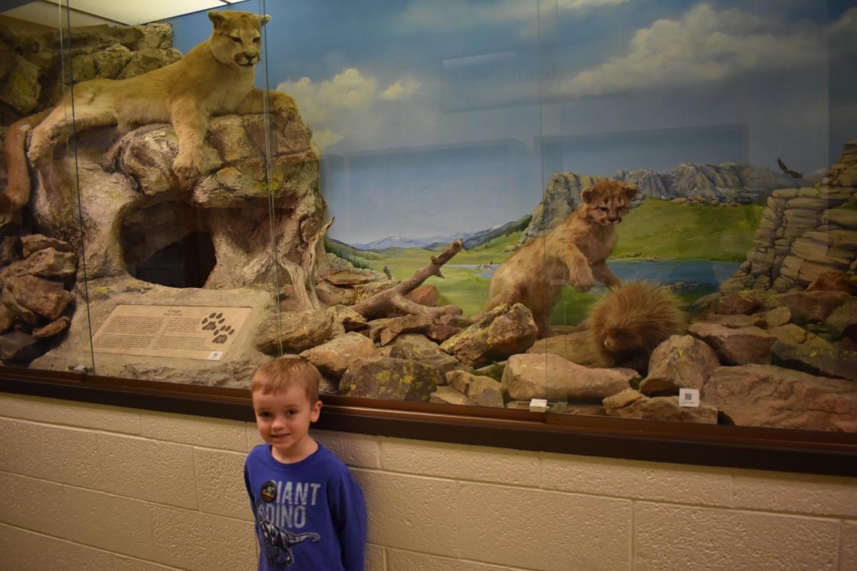 BYU Monte L. Bean Life Science Museum