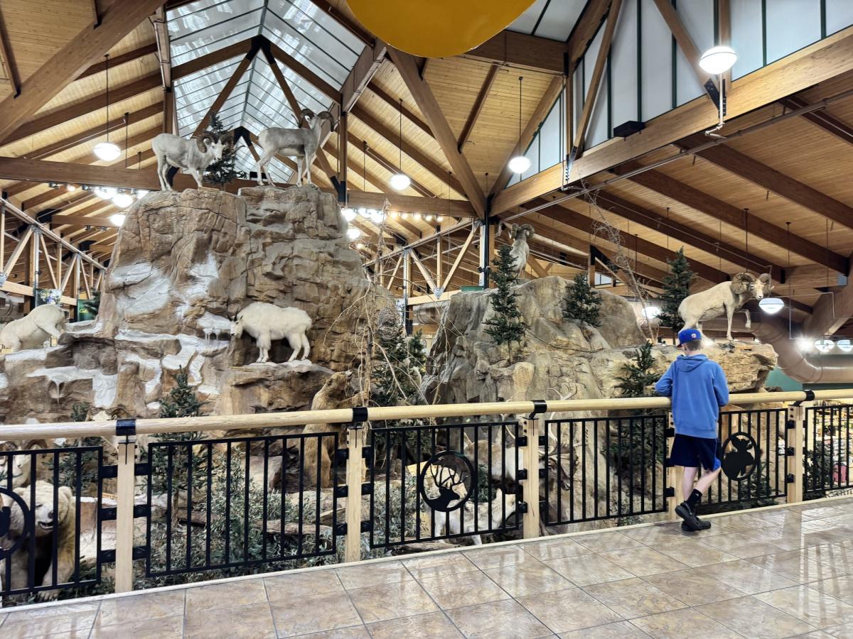 Wildlife mountain at Cabela's in Lehi