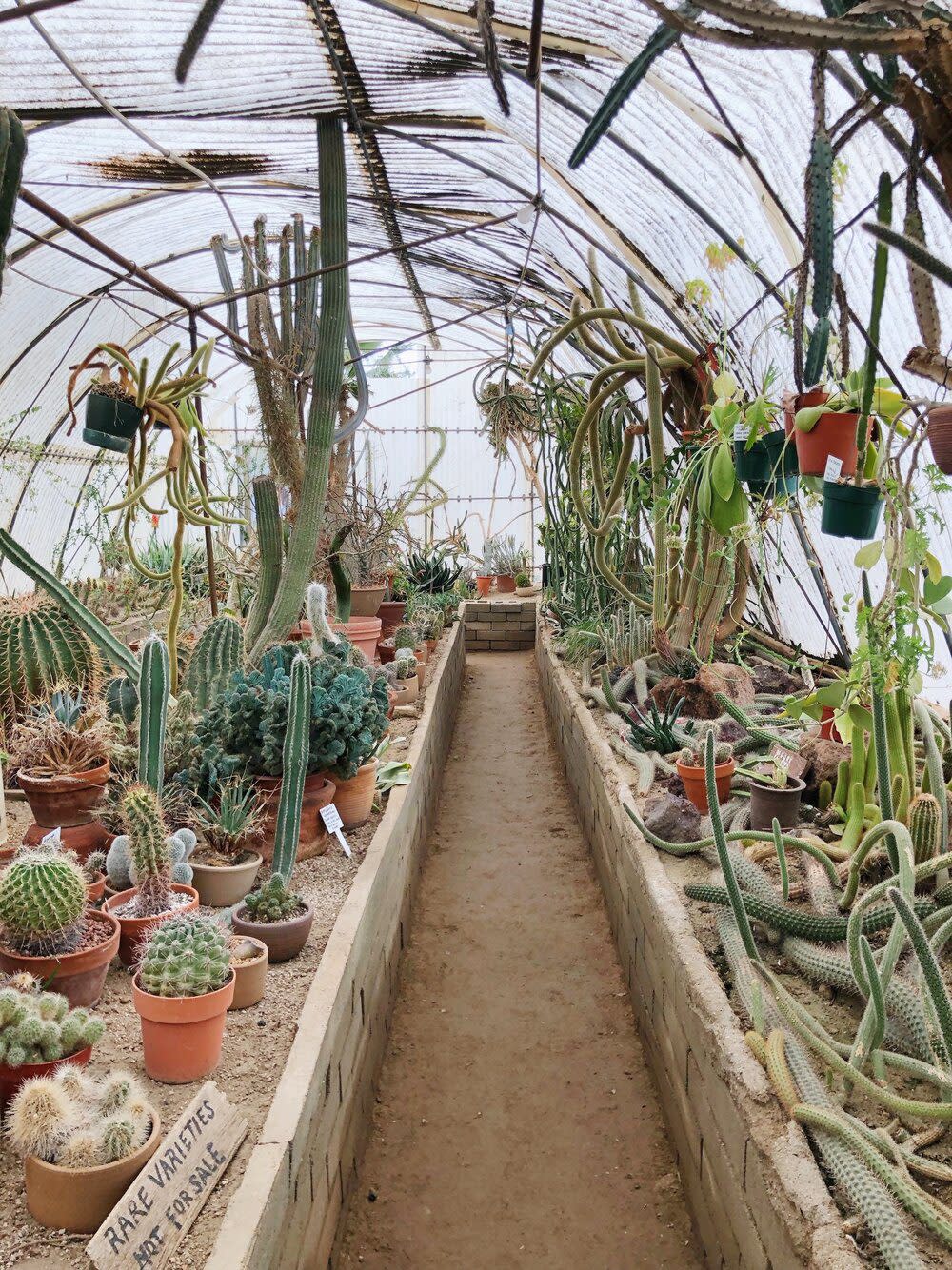 Moorten Botanical Garden