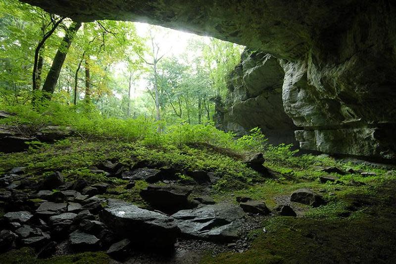 Russell Cave National Monument
