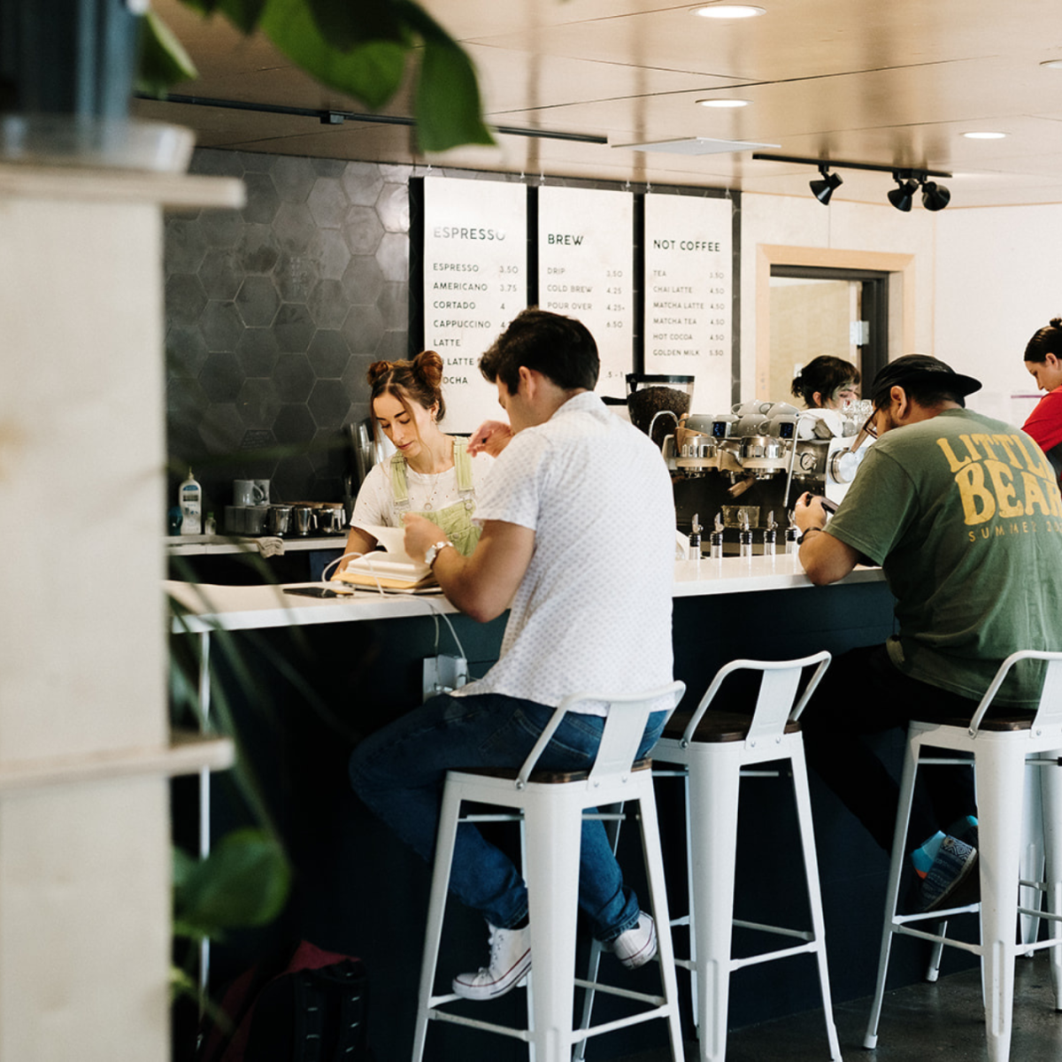 Little Bear Coffee + Roastery