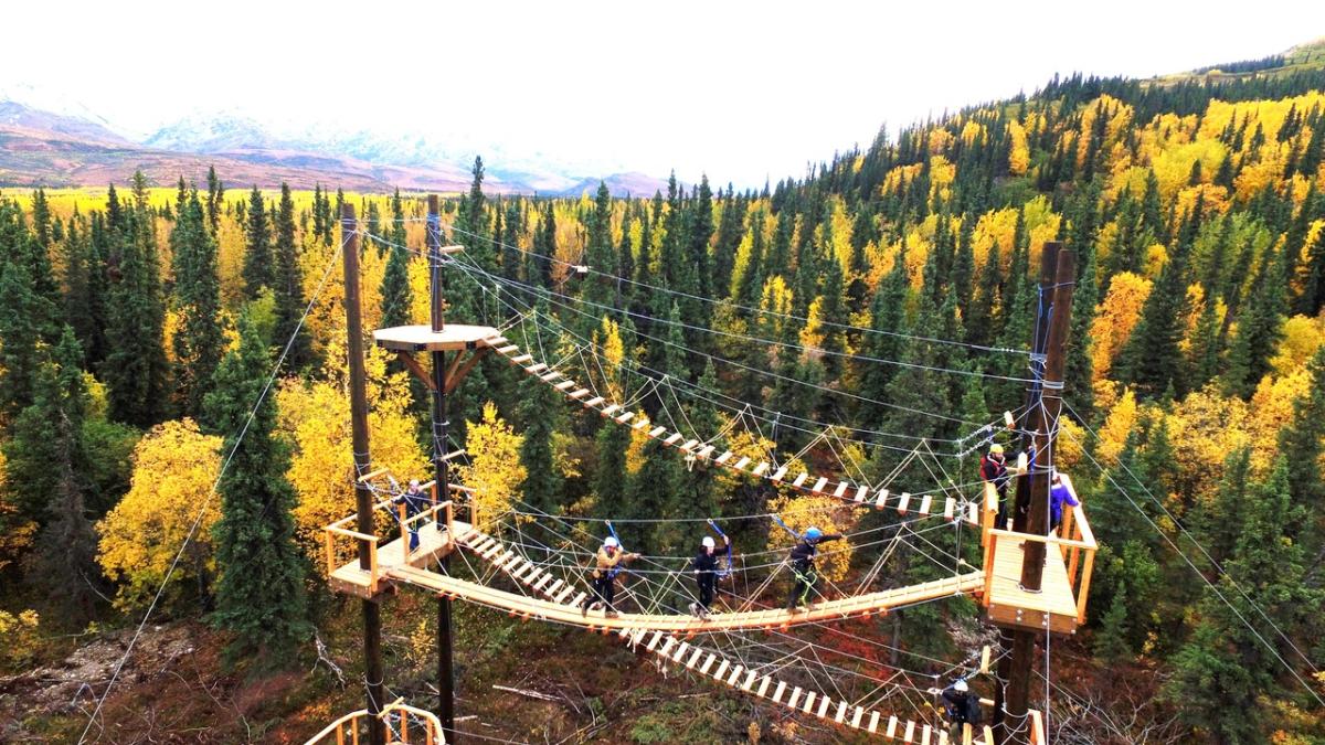 Alaska's Ultimate Canopy Expedition & Juneau Zip Line Tour