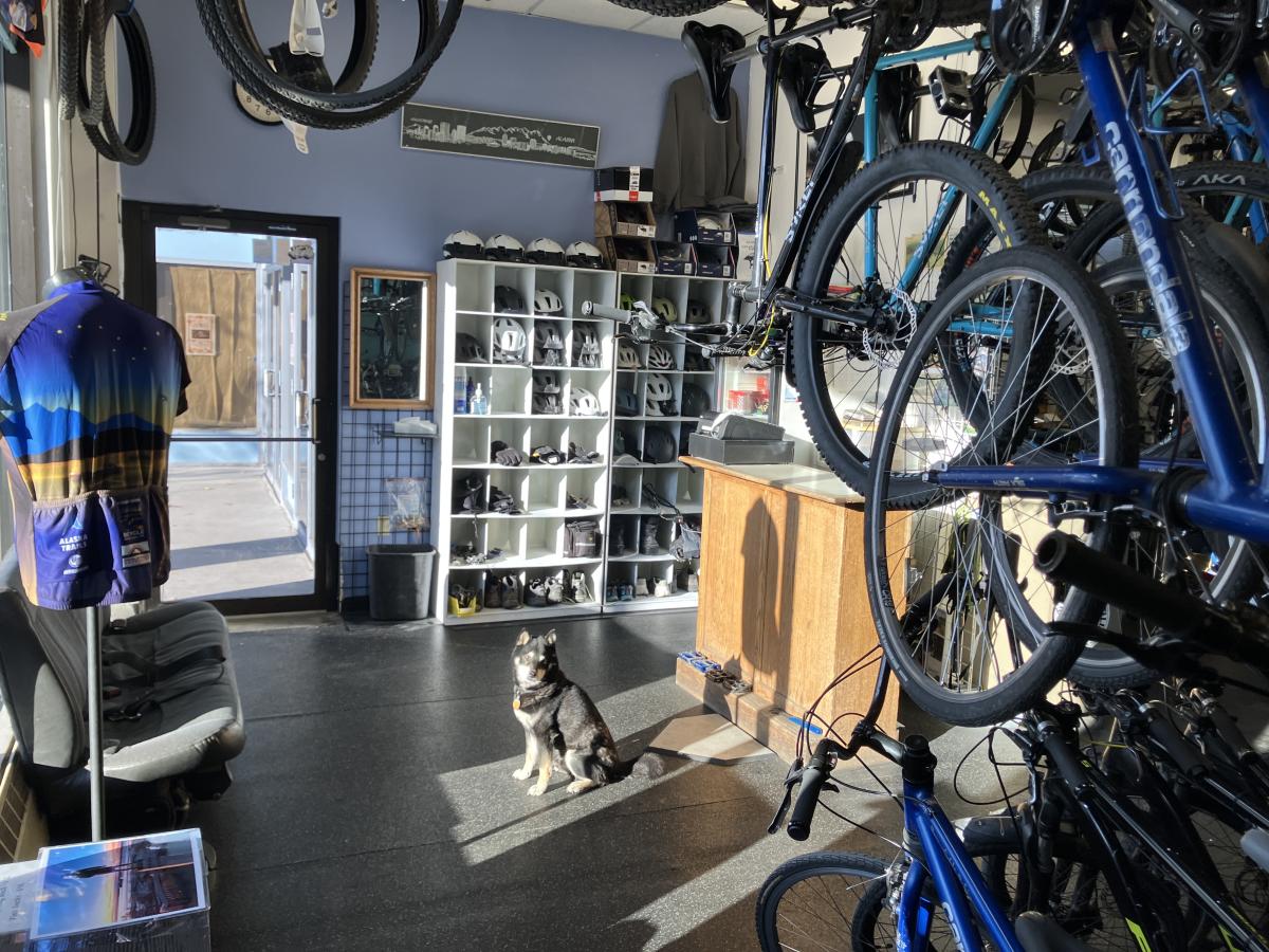 Downtown Bicycle Rental