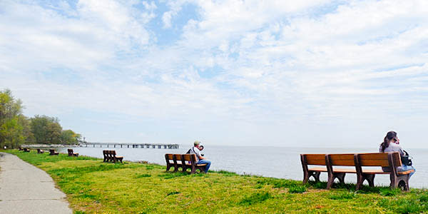 Downs Park | Pasadena, MD