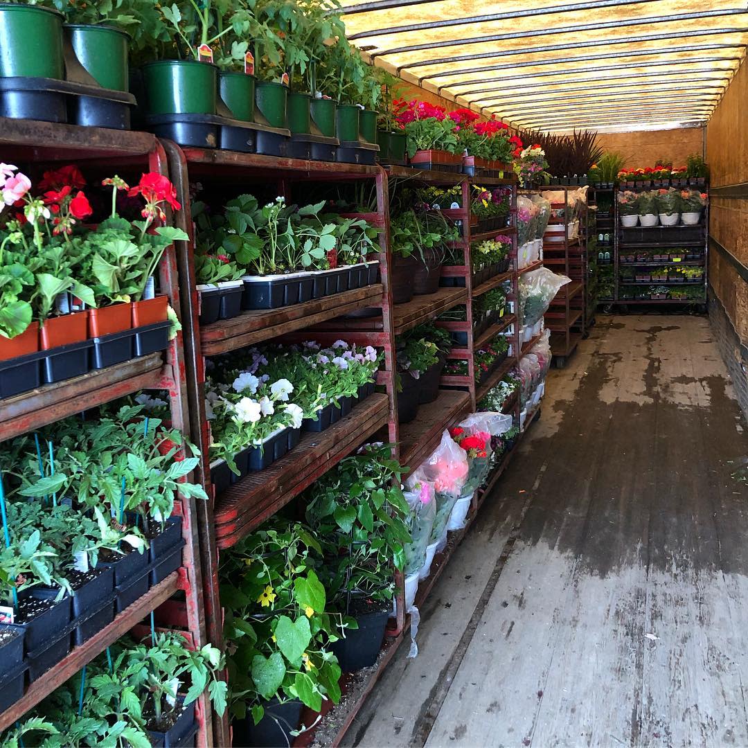 Coleman's Farm Market