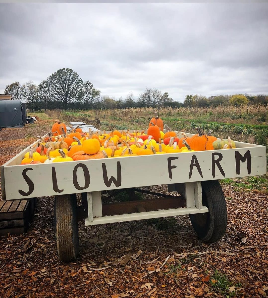 Slow Grow Farms様 Slow Farm | Destination Ann Arbor