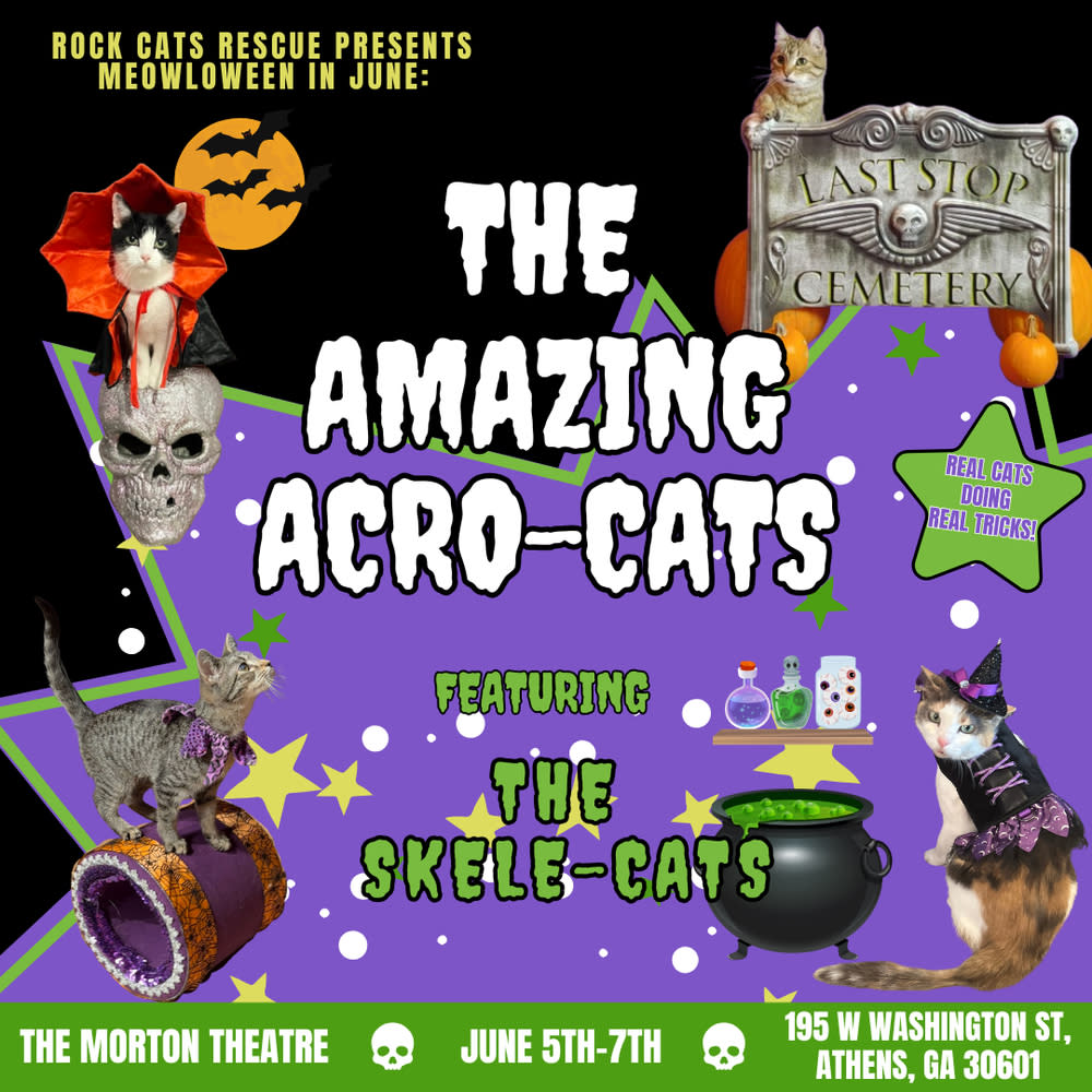 The Amazing Acro-Cats Meowloween in June Special!