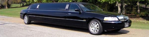 Tiger Limo
