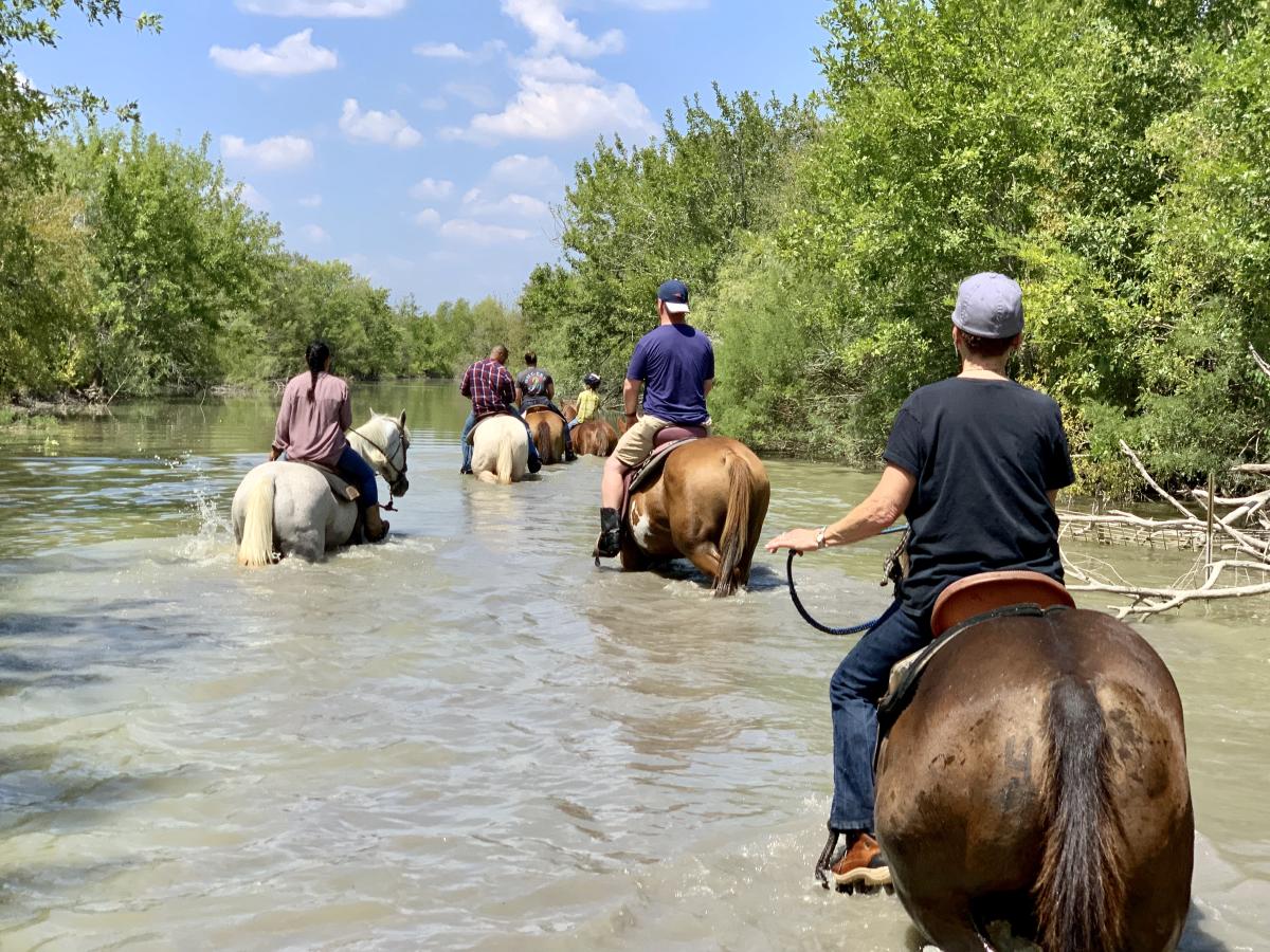 Maverick Horseback Riding Austin, TX